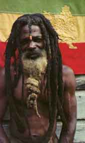 Rasta Man