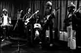 The Wailers